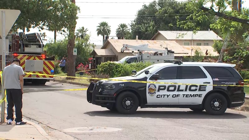 A worker is dead after a palm tree skirt fell on him in Tempe on Sunday morning.