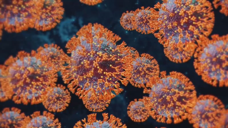 The new data comes as a new COVID-19 variant, KP.3.1.1, emerges and spreads.