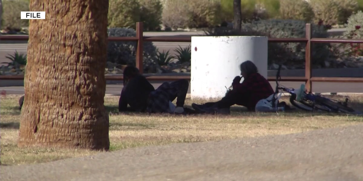 Phoenix city council approves controversial food, medical restrictions in parks