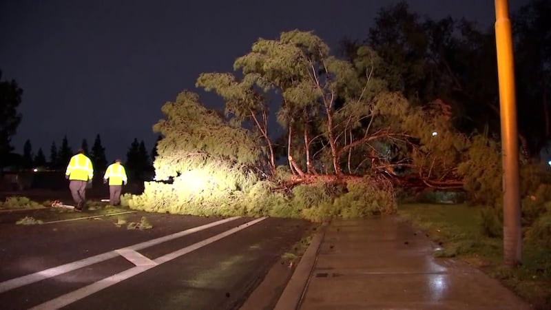 A storm brought powerful winds through the East Valley, snapping trees, scattering debris and...