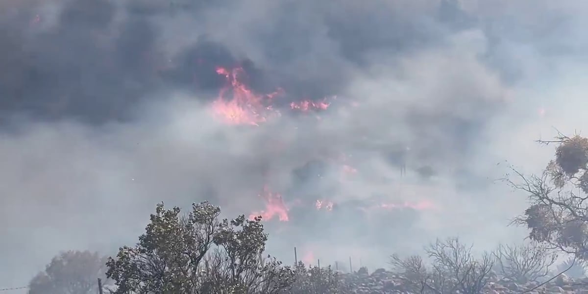Stronghold Fire fully contained in Cochise County as fire burns 2,100 ...