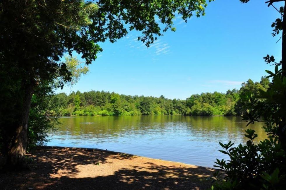 Hawley Lake Arizona view in the summer. (Source: White Mountain Apache Tribe)
