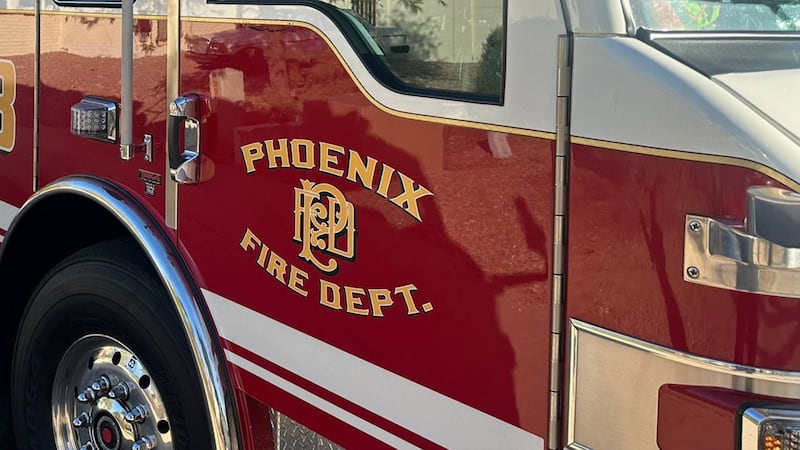 Monitor lizard safely wrangled in Phoenix freeway rescue