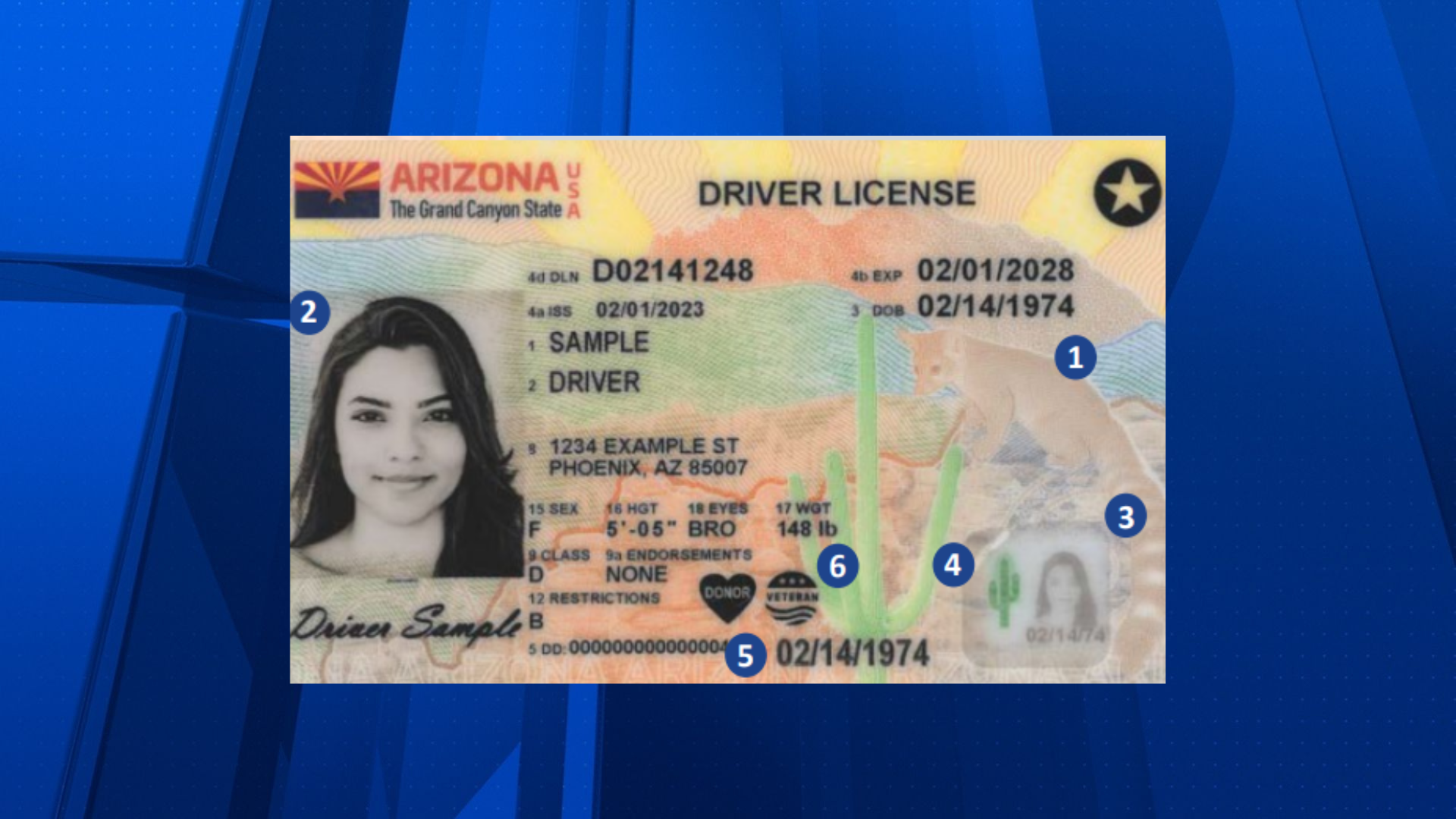 Getting A Driver'S License In Arizona