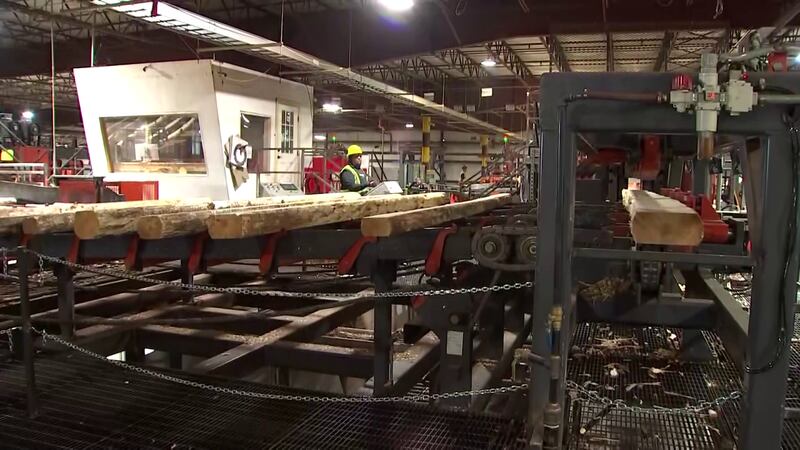 Restorative Forest Products invested $120 million to open the sawmill, which will create 170...