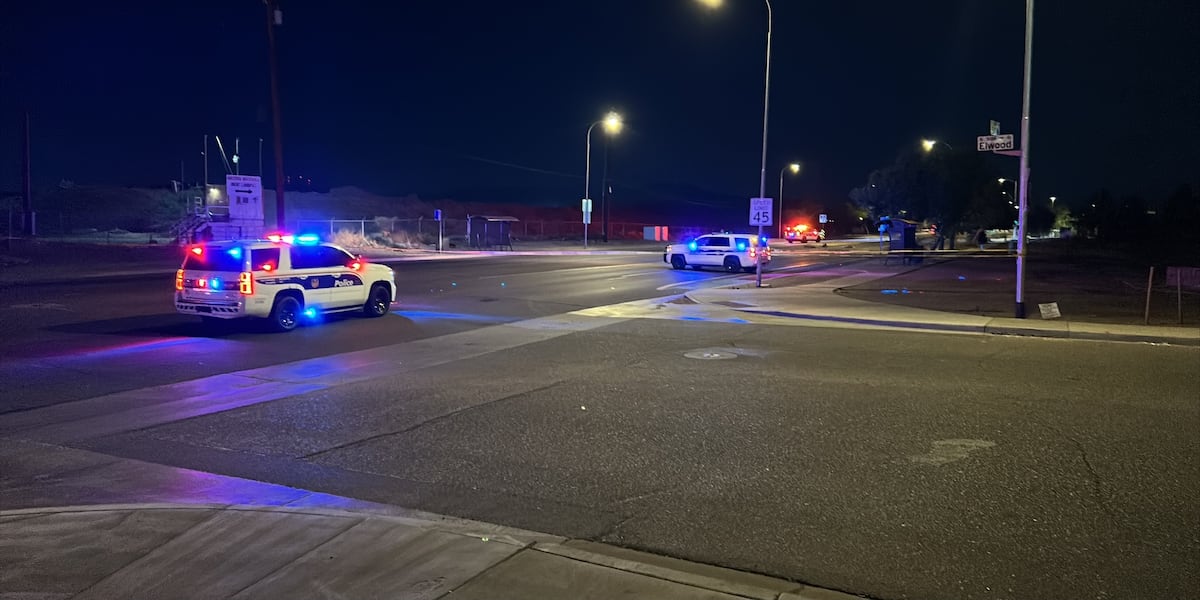 Woman, Dog Killed in Phoenix Double Hit-and-Run