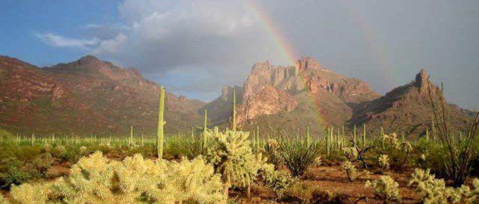 Check out the Organ Pipe National Monument while driving the Organ Pipe Cactus Parkway.