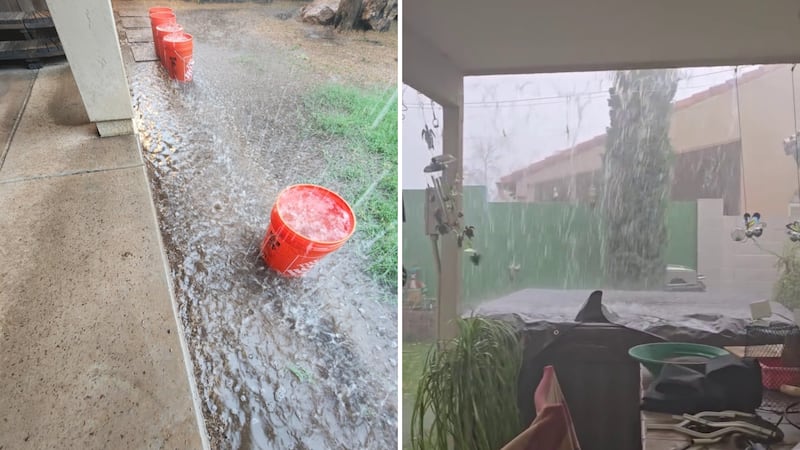 Kings vs Suns Showdown: Can the New-Look Kings Survive a Tough Season Opener Against the Revamped Suns?