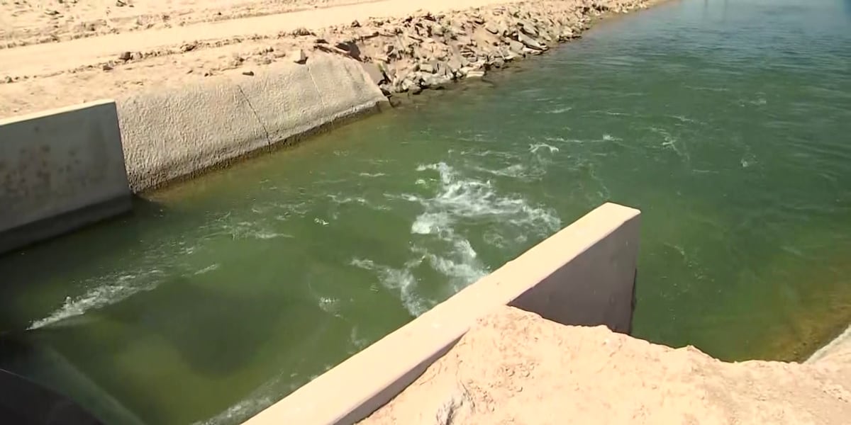 Arizona farmers adjust to water restrictions as Colorado River cuts continue