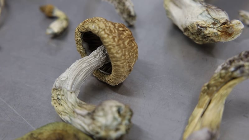 Arizona Drug Task Force detectives are seeing a massive spike in illegal sales & labs, with...