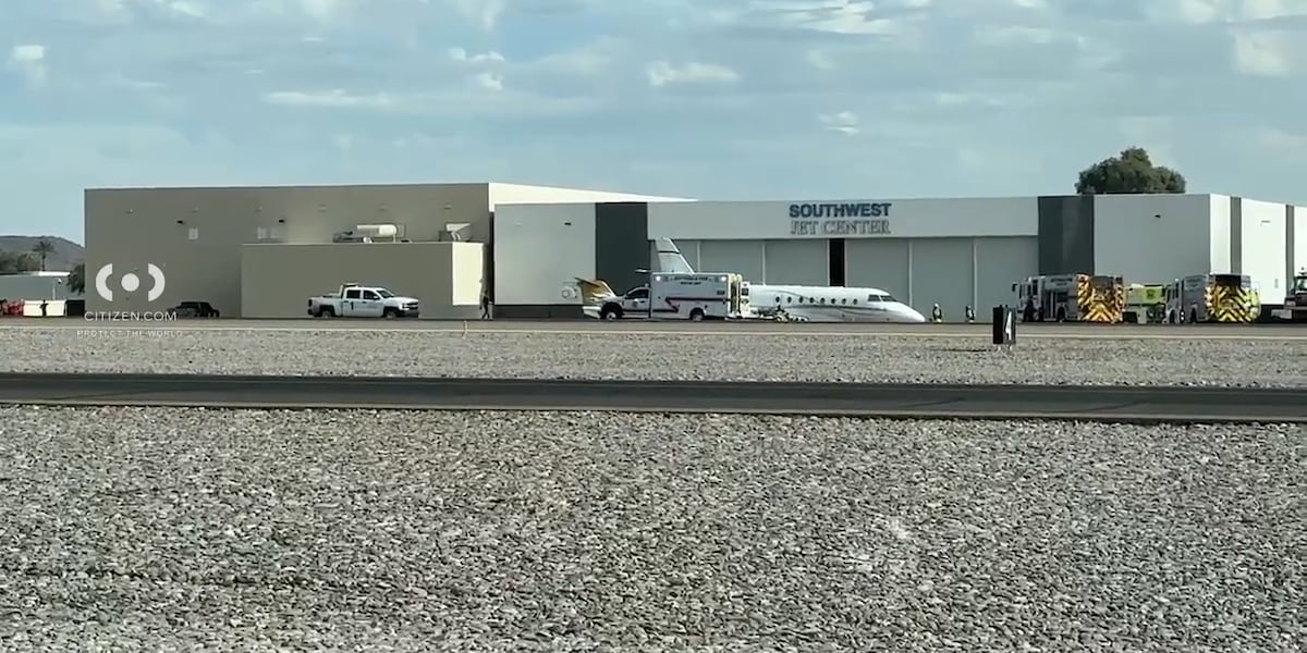 Scottsdale Airport Crash: Learjet Owned by Vince Neil