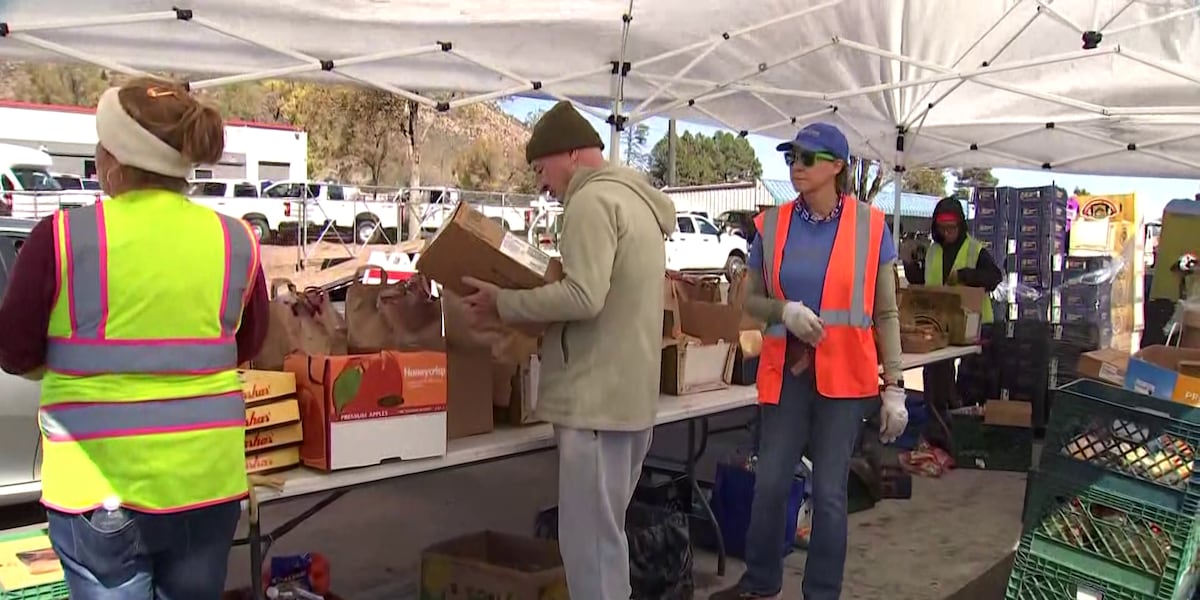 US Food Banks See Surge in Demand Amid Government Shutdown, SNAP Uncertainty