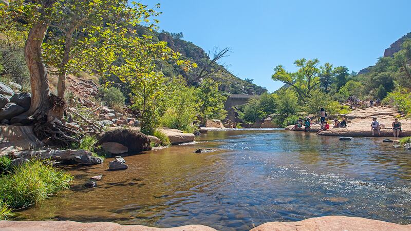 State officials are warning the public about E. coli contamination at Oak Creek thought to be...