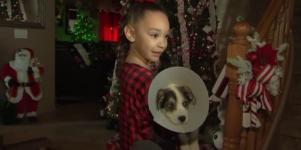 Santa and Mrs. Claus deliver adopted Arizona shelter dogs to their new home Santa and Mrs. Claus deliver adopted Arizona shelter dogs to their new home