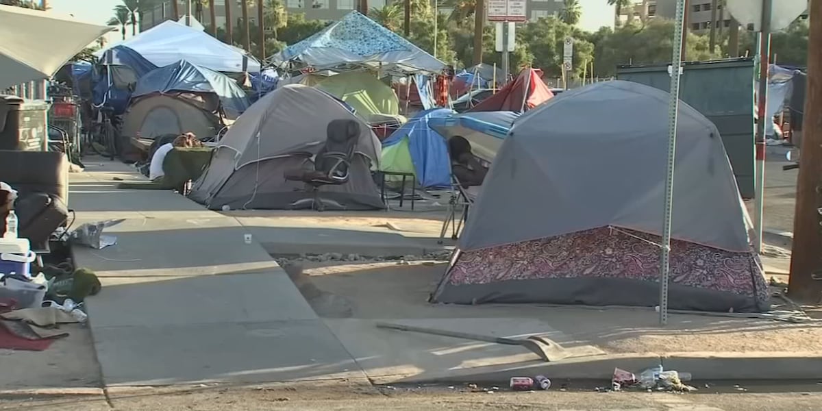 Phoenix Library Homless Phoenix homeless shelters facing challenges after judge rules ‘The Zone ...