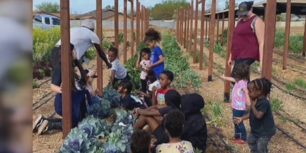 Phoenix-based ‘Project Roots’ teaches students about food insecurity ...