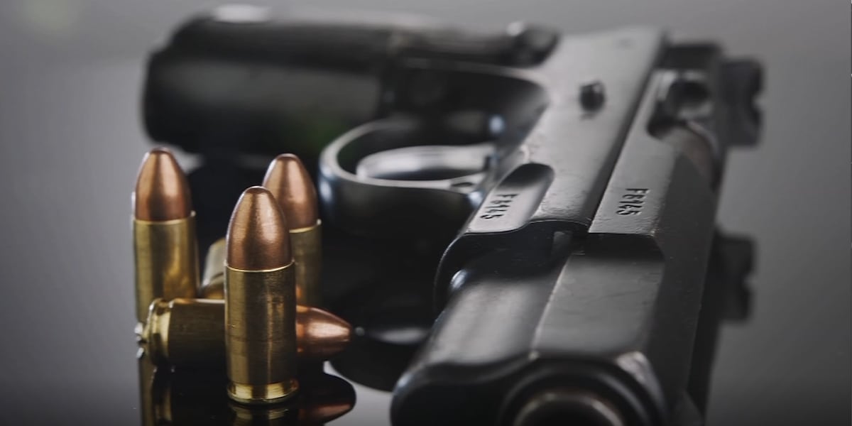Arizona lawmakers applaud Supreme Court striking down Mexico’s gun violence lawsuit