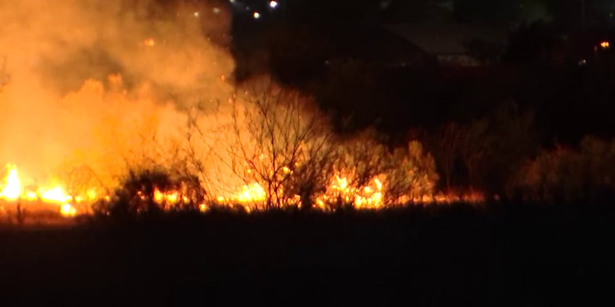Firefighters Battle 10-Acre Brush Fires Near Avondale, Angeles National Forest