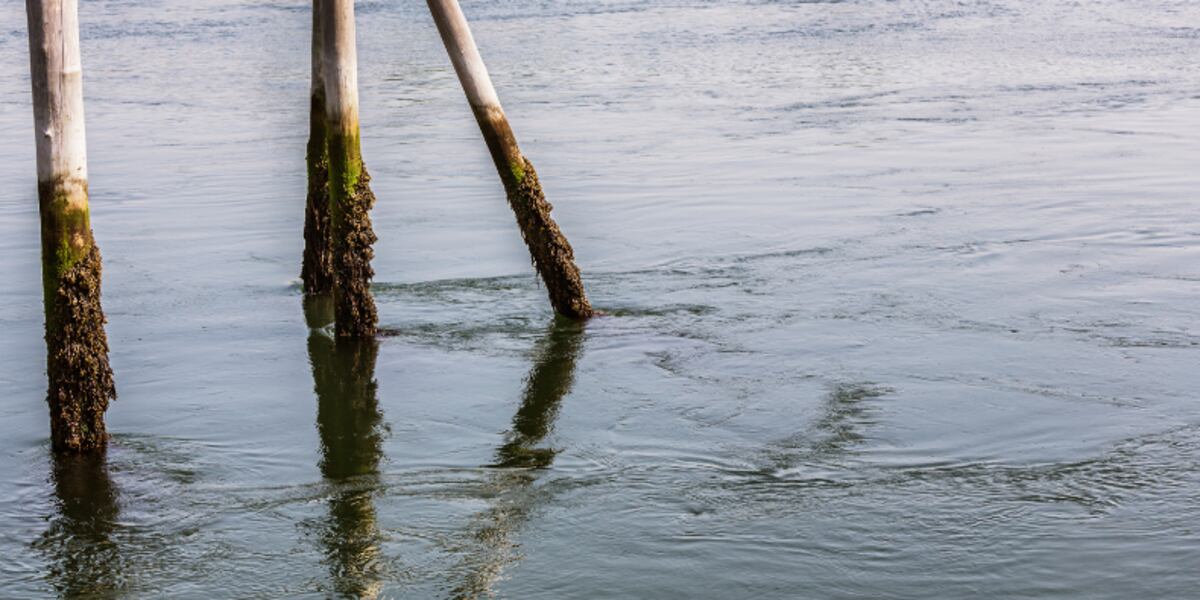 NJ Man Drowns Rescuing Friends in PA Lake