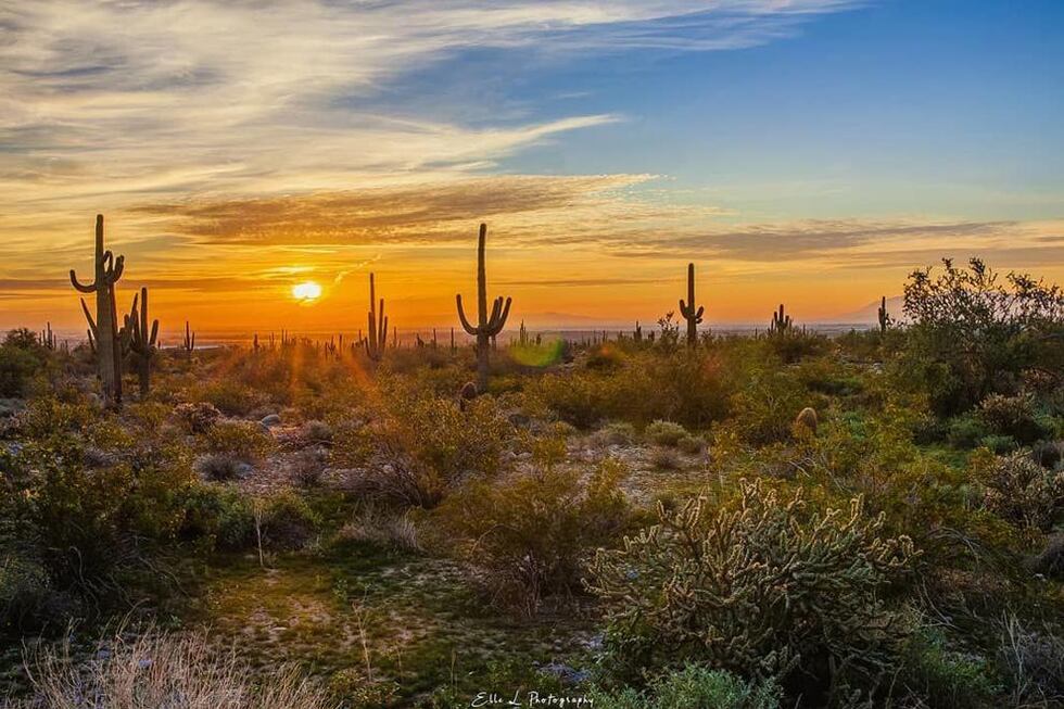 White Tanks Regional Park