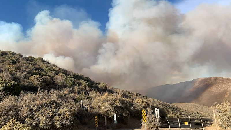 The Brady Fire broke out on Bradshaw Road north of Pine Flat on Monday afternoon.