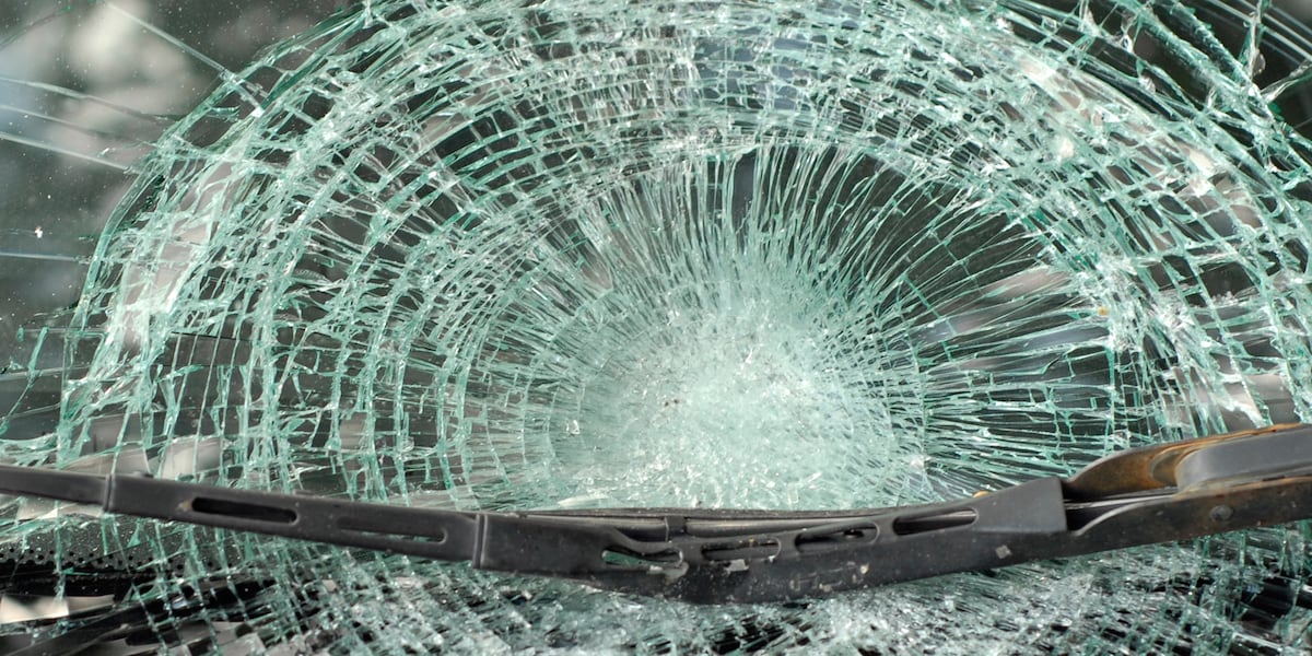 29-Year-Old Wisconsin Woman Dies After Deer Crashes Through Windshield