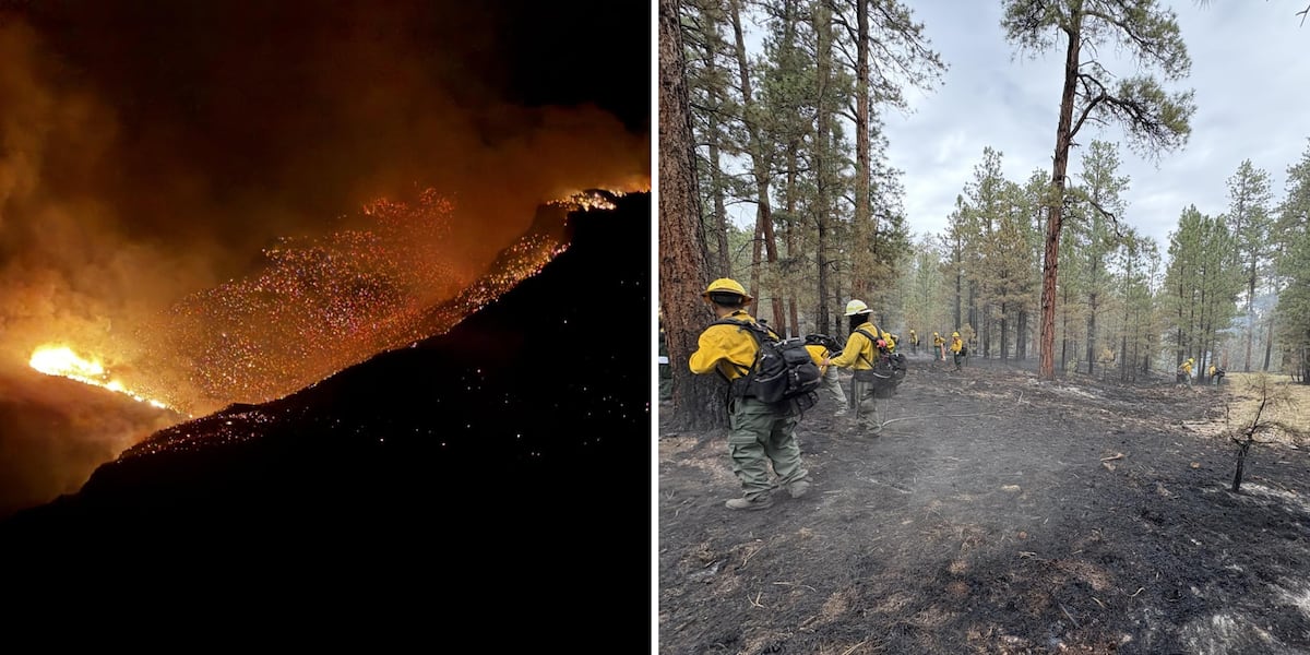 Businesses impacted by North Rim wildfires to receive financial help