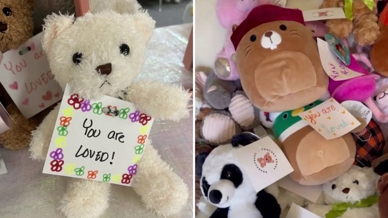 The nonprofit has partnered with other nonprofits to donate over 800 comfort bears to children...