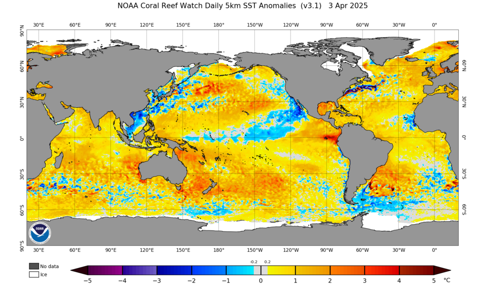 Sea Surface Temperature Anomalies