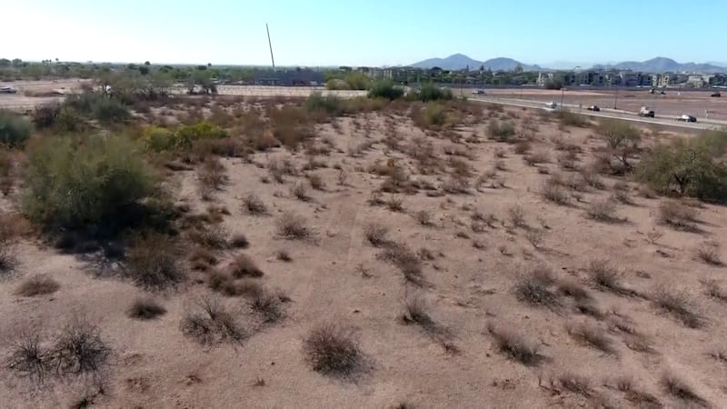 Scottsdale City Council approved a rezoning measure that would let Axon to build a massive...