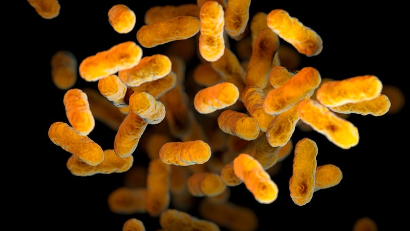 FILE - This 2016 illustration provided by the Centers for Disease Control and Prevention,...