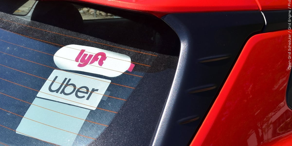 Florida Teen Charged With Murder of Lyft Driver in Panama City Beach