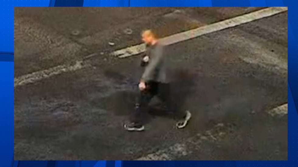 Glendale Police released a single image of a person of interest in the deadly stabbing...