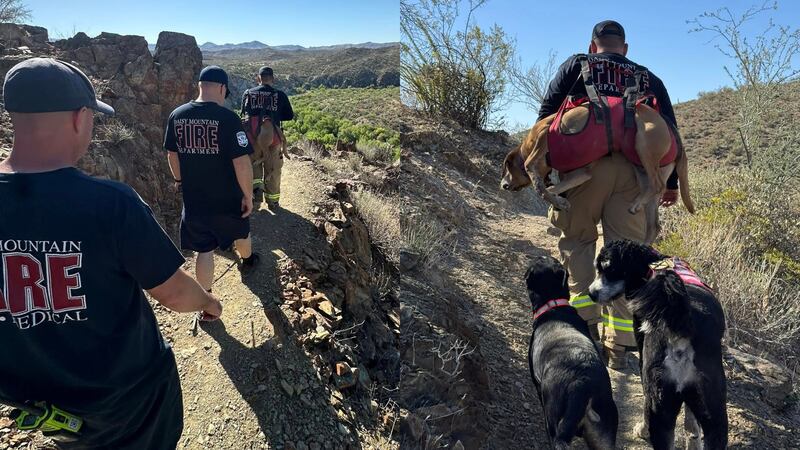 Two pups were rescued along the Black Canyon City Trail on Friday thanks to the help of Daisy...