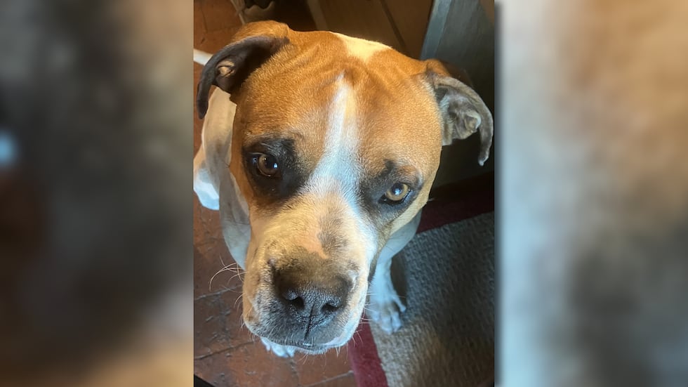 Fritz Neuhauser said he lost his dog Luigi to a poisoning in Tucson.