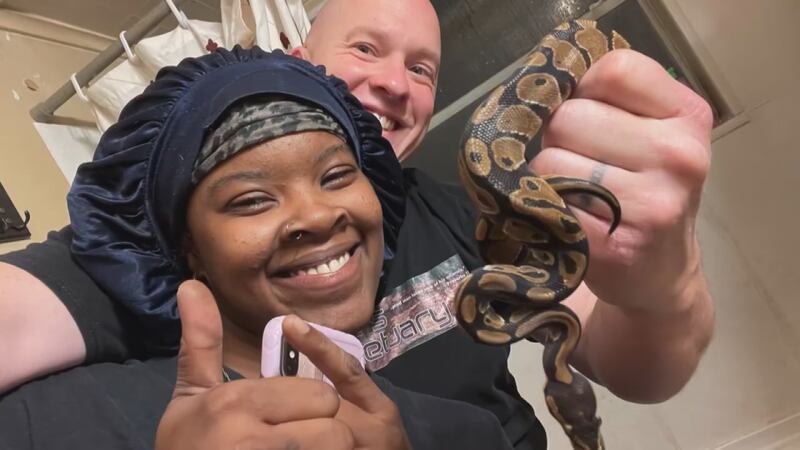 Ball Python Funeral Woman surprised by ball python found in her toilet