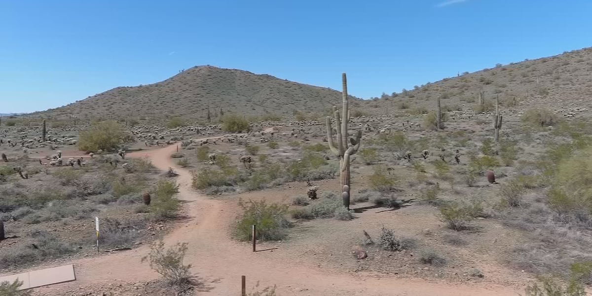 www.azfamily.com