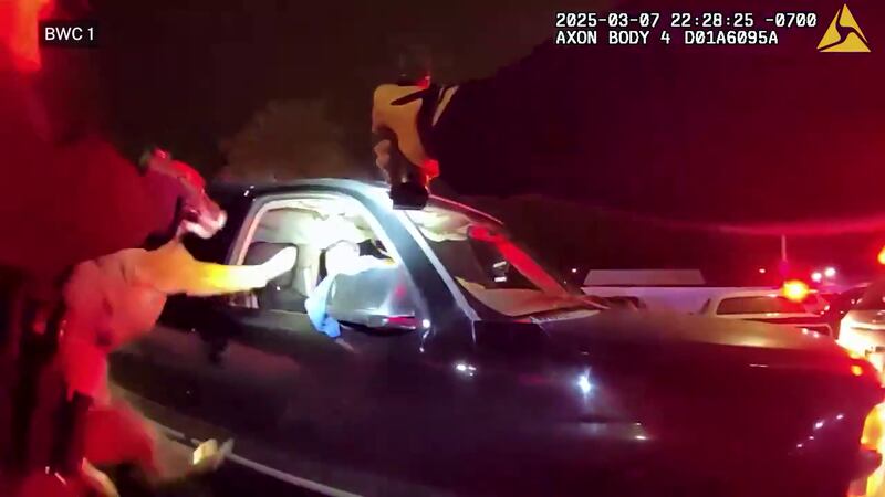 Police said an officer shot the armed suspect and the K-9.