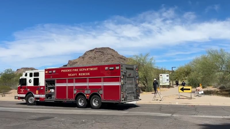 Firefighters are working to rescue a hiker who was stung by a swarm of bees on Lookout...