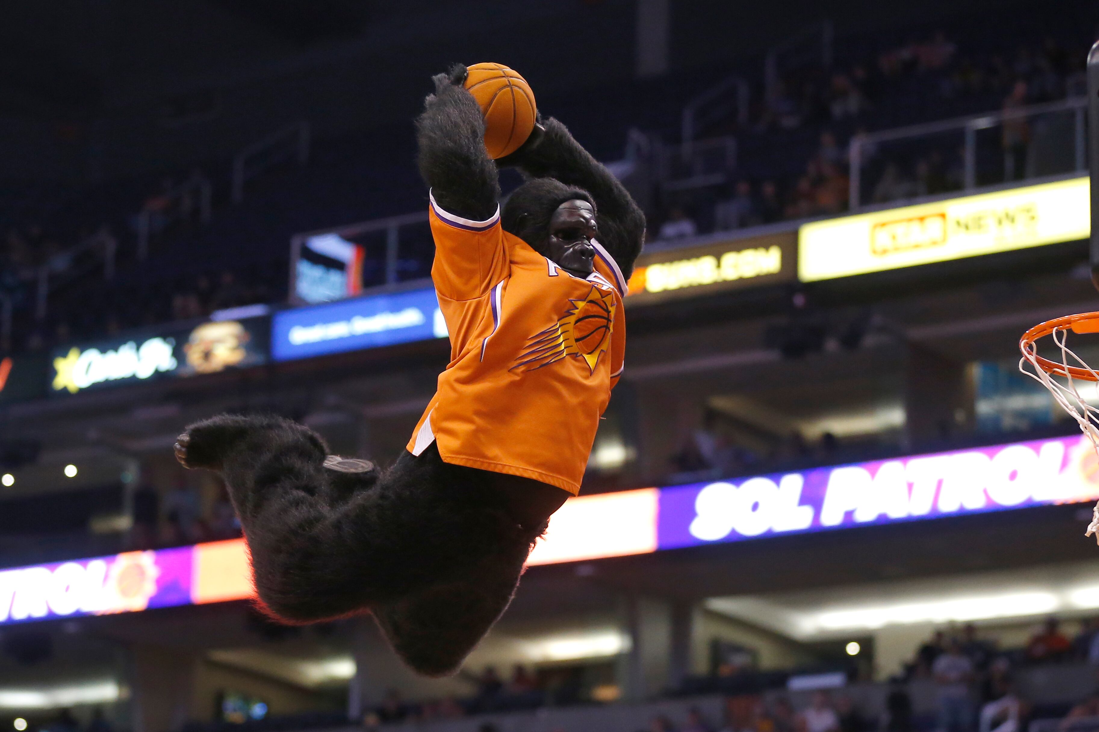 Longtime Phoenix Suns gorilla mascot performer earns Hall of Fame honor