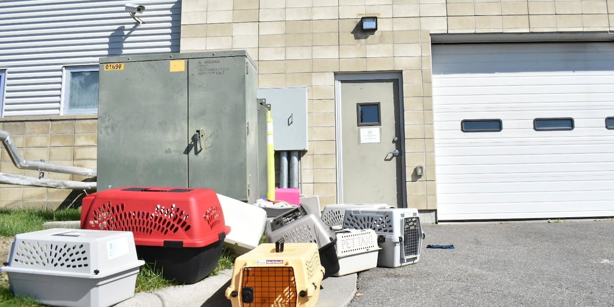 FBI Meth Burn Hospitalizes 14 Yellowstone Animal Shelter Staff
