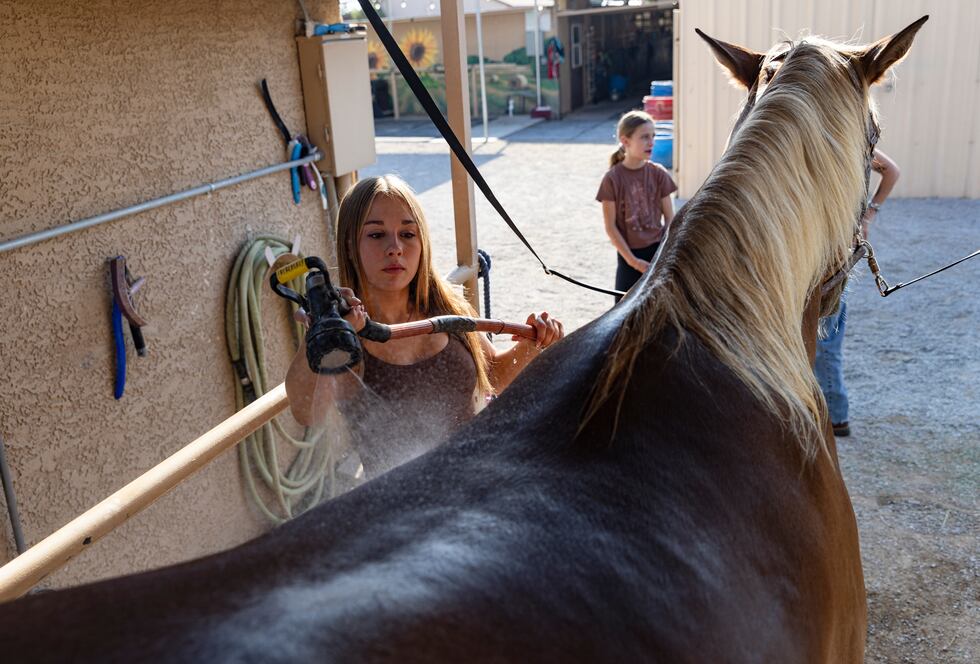 Daydia Pacheco, 16, cools down Remy with a morning shower at Talisman Farm in Las Vegas,...