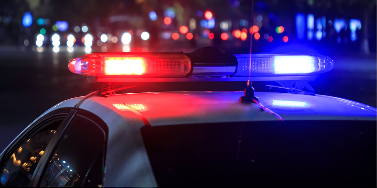 New Mom Killed in Indiana Deer Crash