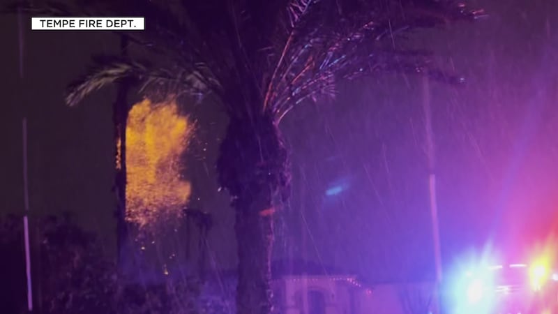 Video captured the moment lightning struck a palm tree in Tempe, injuring a firefighter.