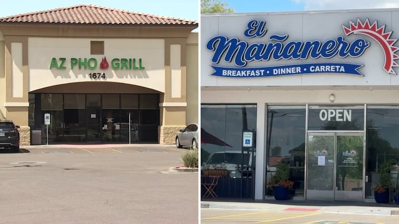 This week's Dirty Dining report cited Valley spots for issues like a dead lobster in a tank,...