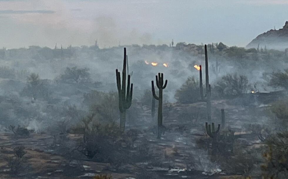 The Ricky Fire was caused by lightning and is burning in the north portion of the McDowell...