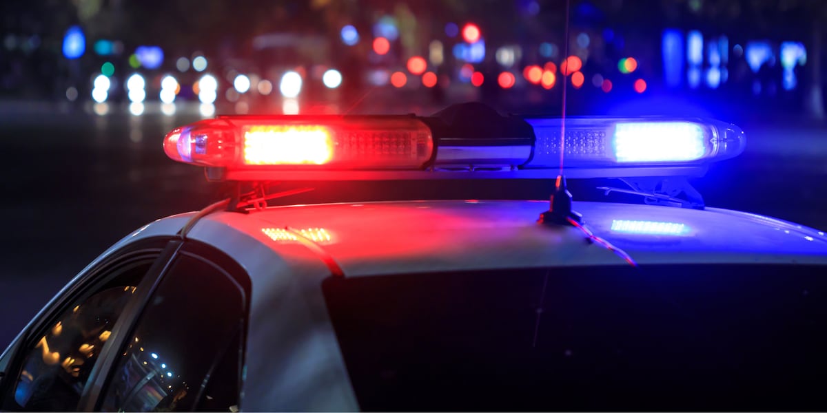 7-Year-Old Boy Killed in Dog Attack Near Calera, Alabama
