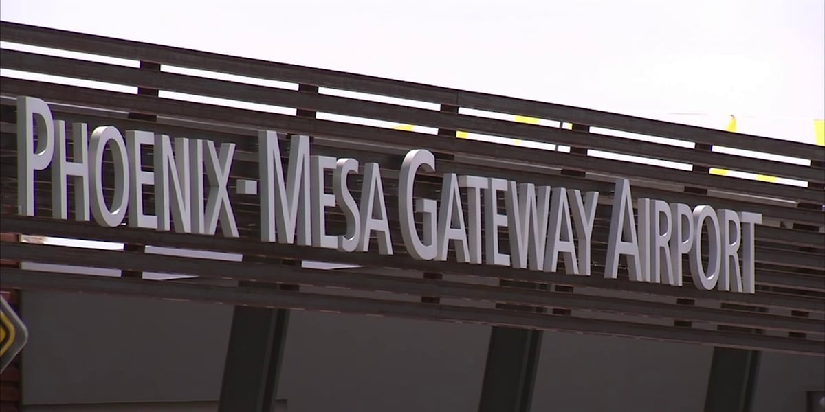 Allegiant Flight From Mesa Returns to Airport Following Bird Strike