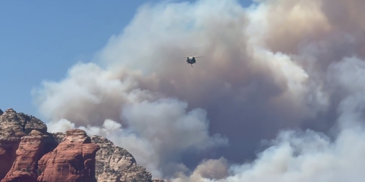 Study: Wildfire smoke may trigger ‘alarming' brain inflammation, raising disease risks