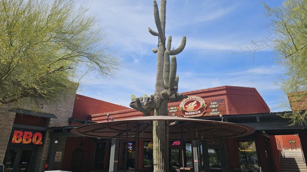 Cryin' Coyote is located near Cave Creek Road and Basin Road.